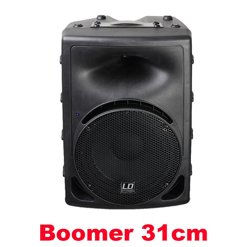 Enceinte active LD SYSTEM LDPR12A